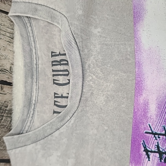 Licensed Band Merch West Coast's Own Ice Cube Graphic Stone Wash Tee Light Gray - Picture 10 of 17